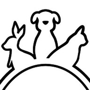 Paws and Reflect Pet Grooming