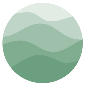 Susitna Suites - Logo