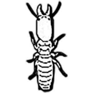United Termite