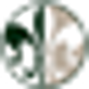 Holik Square - Logo