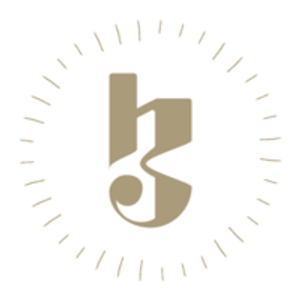 HAVEN STUDIOS - Logo