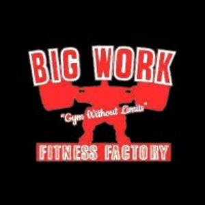 Big Work Fitness Factory - Logo