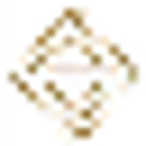MARJORIE N. RAINEY CPA, CFE - Logo