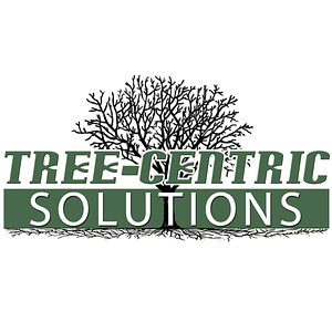 Tree-Centric Solutions - Arborist service in Indianapolis