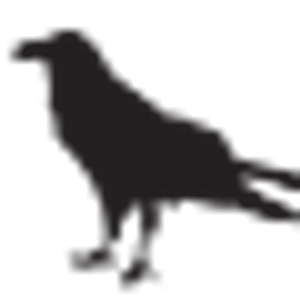 Black Crow Building Co.