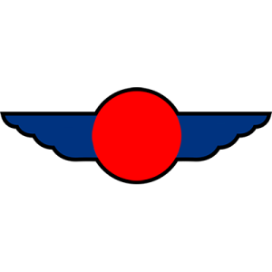 Blue Wing Inspections LLC - Logo