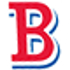 Bradley Auto Finance - Logo