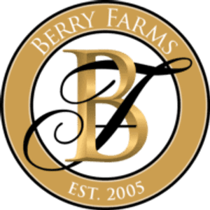Berry Farms Town Center - Logo