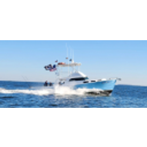 Dolly Diesel Sport Fishing - Logo