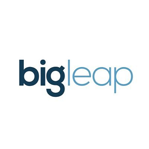 Big Leap - Logo
