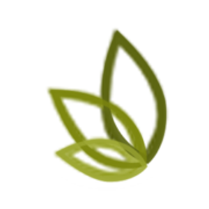 In Touch Hair & Spa - Logo