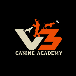V3 Gun Dogs & Canine Academy - Logo