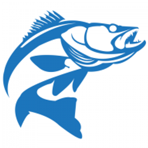 Chasing Dreams Sportfishing