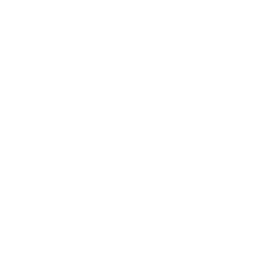 Auto Electric Systems Inc - Logo