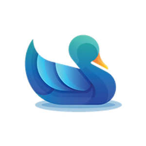 Duck Dive Pool Services