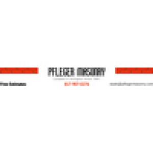 Pfleger Masonry - Logo