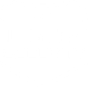 Hill Street Security LLC - Logo