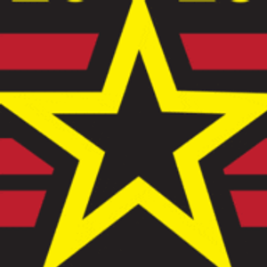 Bravo Company Roofing