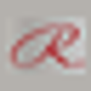R. Davis Construction - Logo
