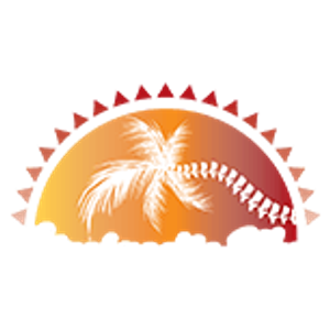 Chiropractic Worx Panama City Beach - Logo