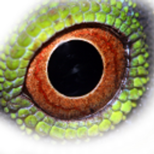 Edisto Island Serpentarium - Logo