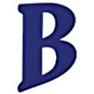 Burton Campers - Logo