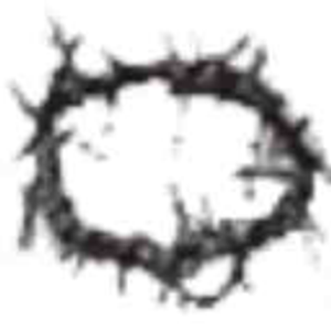 Crown Leveling Inc.| Foundation Repair Austin - Logo