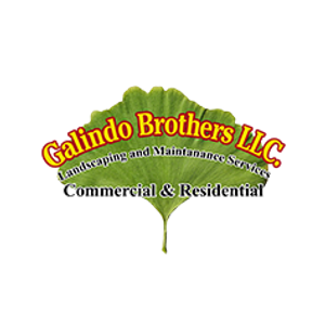 Galindo Brothers LLC - Logo