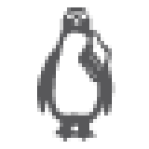Leisure Steam - Logo