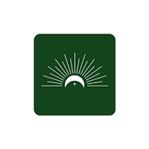 Nolla Wellness - Logo