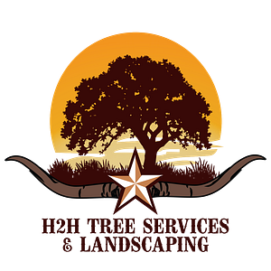 H2H Tree Service & Landscaping