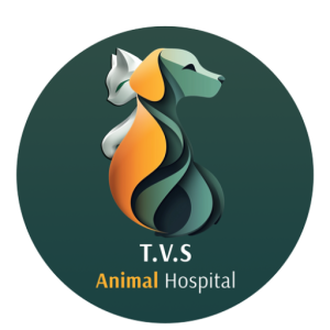 Parliament Animal Hospital - Veterinarian in Toronto