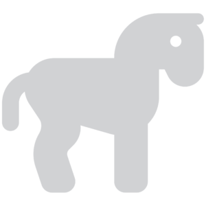Horsemanship Academy