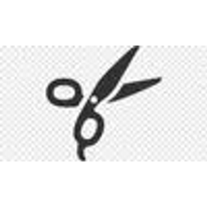 Emily Mazour Hairapy - Logo