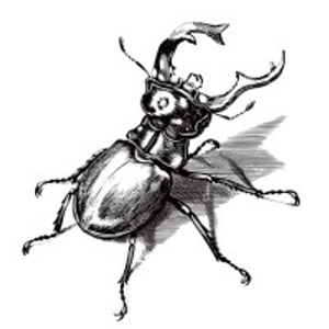 Scribble Art Studio Sav LLC - Logo