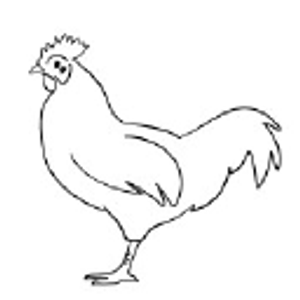 Marshall's Bodacious BBQ - Logo