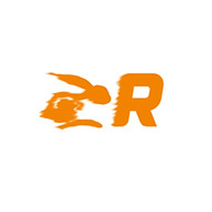 Rapid Mobile Detail