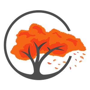 A&E Outdoors - Logo