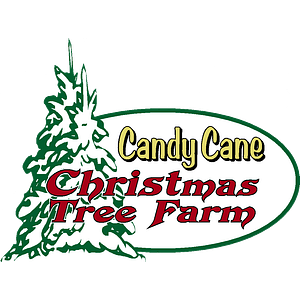 Candy Cane Christmas Tree Farm