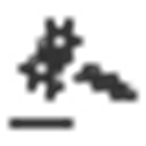 Raccio Law, LLC - Logo