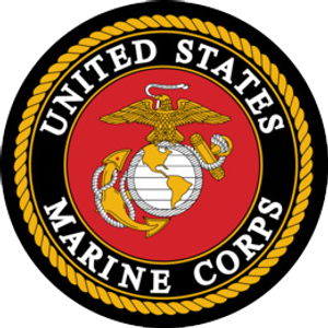Paul S. Maney, P.A. - Logo