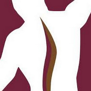 Chicago Chiropractic & Sports Medicine - Logo