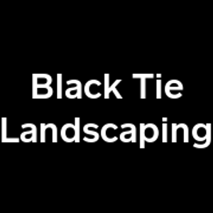 Black Tie - Logo