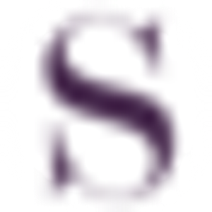 The Salon of Venice - Logo
