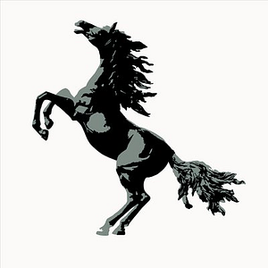 Black Stallion Estate Winery - Logo