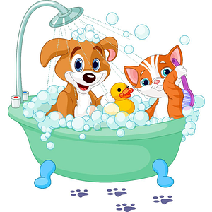Doggie Style AZ - Pet groomer in Phoenix