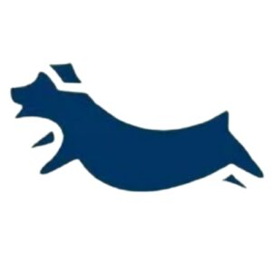 Squeaky Clean Turf - Logo