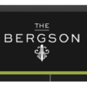 THE BERGSON - Logo