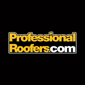 Professional Roofers.