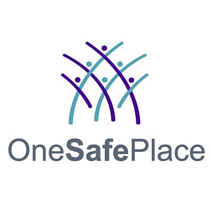 The Ladder at One Safe Place
